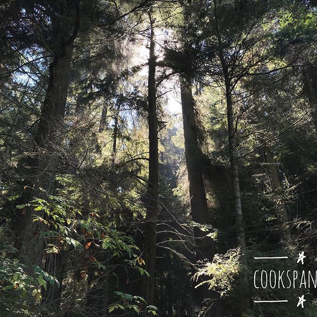 cookspan's tweet photo. Finally on the third day of the long weekend, we made a short trip to #deceptionpass #northbeach. Before the summer ended, which is almost evident in #pacificnorthwest, we had a great fun, especially the little one with his beach toys, got the messier he… https://t.co/TQZ6JeqoXE https://t.co/g365IFz8oR