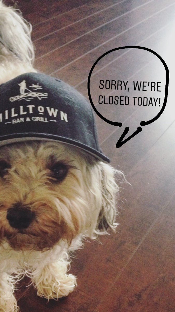 Milltown_Bar's tweet photo. Today we’re closing to celebrate our amazing staff who have worked so hard all year and especially during the crazy summer! To lessen the blow of us being closed today, here’s a picture of a cute doggie. We will reopen tomorrow, Wednesday at 11AM. https://t.co/mt7GxJ4HXz