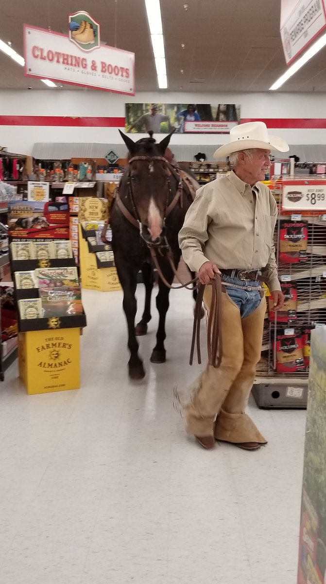 KOCOAbigail's tweet photo. 😂OKLAHOMA Y’ALL!
🐎🐴🐎
Robin Morris says she was at a Tractor Supply store in Elk City. A man walked in to buy horse feed, and asked if he could bring in his horse.

The Boss said “Well our sign says all pets welcome must be on a leash! And a bridle is a leash for a horse!” https://t.co/DCEXQkSzM8