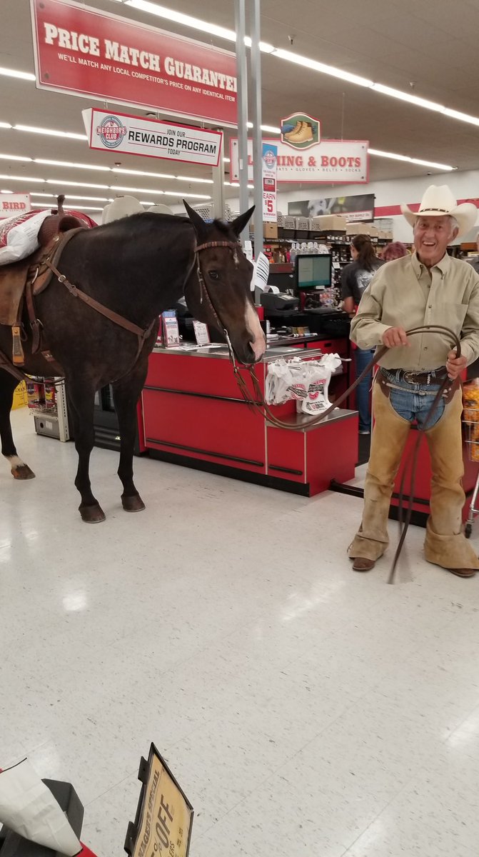 KOCOAbigail's tweet photo. 😂OKLAHOMA Y’ALL!
🐎🐴🐎
Robin Morris says she was at a Tractor Supply store in Elk City. A man walked in to buy horse feed, and asked if he could bring in his horse.

The Boss said “Well our sign says all pets welcome must be on a leash! And a bridle is a leash for a horse!” https://t.co/DCEXQkSzM8