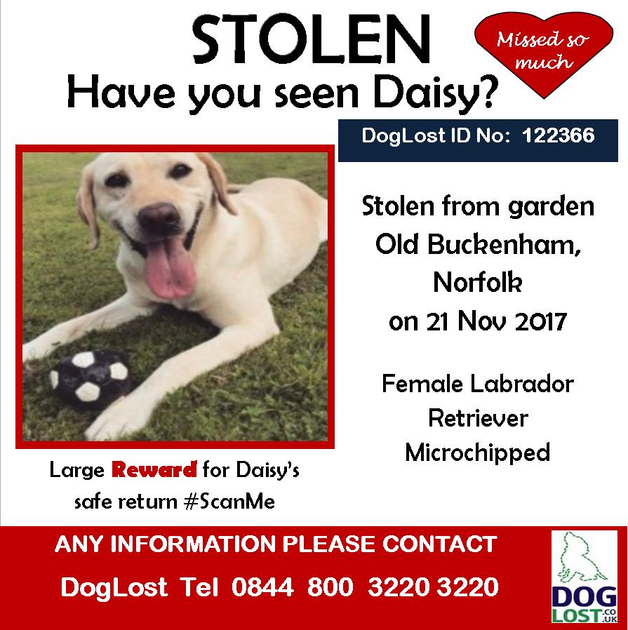 🆘🔴🆘🔴🆘🔴🆘🔴🆘#stolen🆘🔴🆘🔴🆘🔴🆘🔴🆘
#finddaisy #norfolk #uk but could be anywhere.#scanme #checkmychip #getmehome