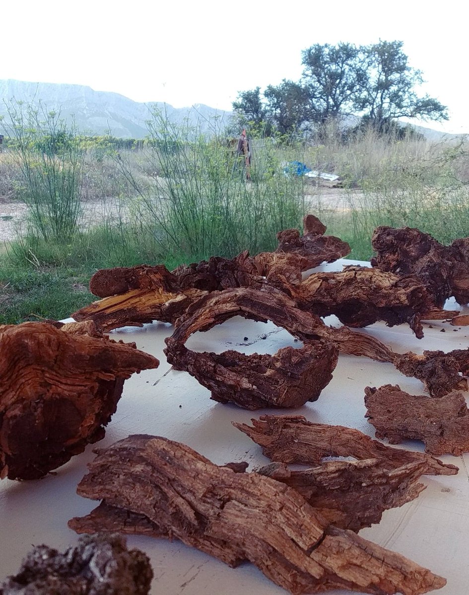 J-3 #vernissage Quant-à-soi.e #sortiederesidence #milenawalter et #aureliebarnier #domainedudefend #rousset