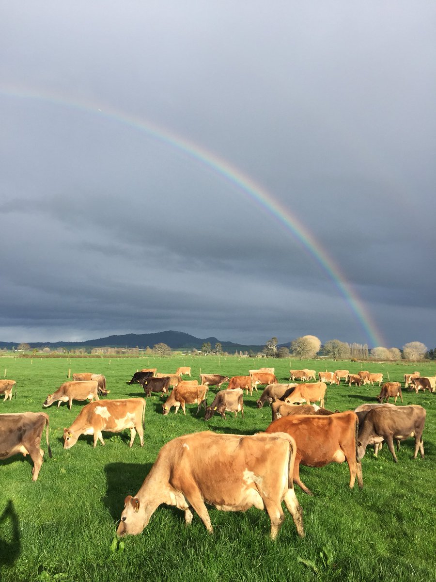 A promising start to the day. More rain forecast though. Had enough already!