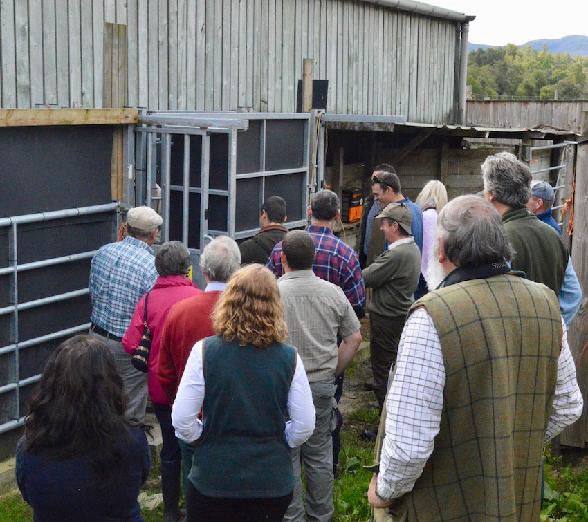 ScotVenison's tweet photo. Fabulous September day and a full house for the Introduction to deer farming event at Cannich Hall and Culligran #scottishvenisonday #scottishvenisonstrategy #farmtour #bellingram #venisonadvisoryservice https://t.co/AYT1TLFPpY