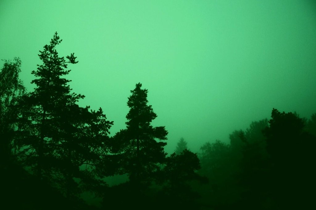 DevoidOfSound's tweet image. Fact thread. 

1 like = 1 fact