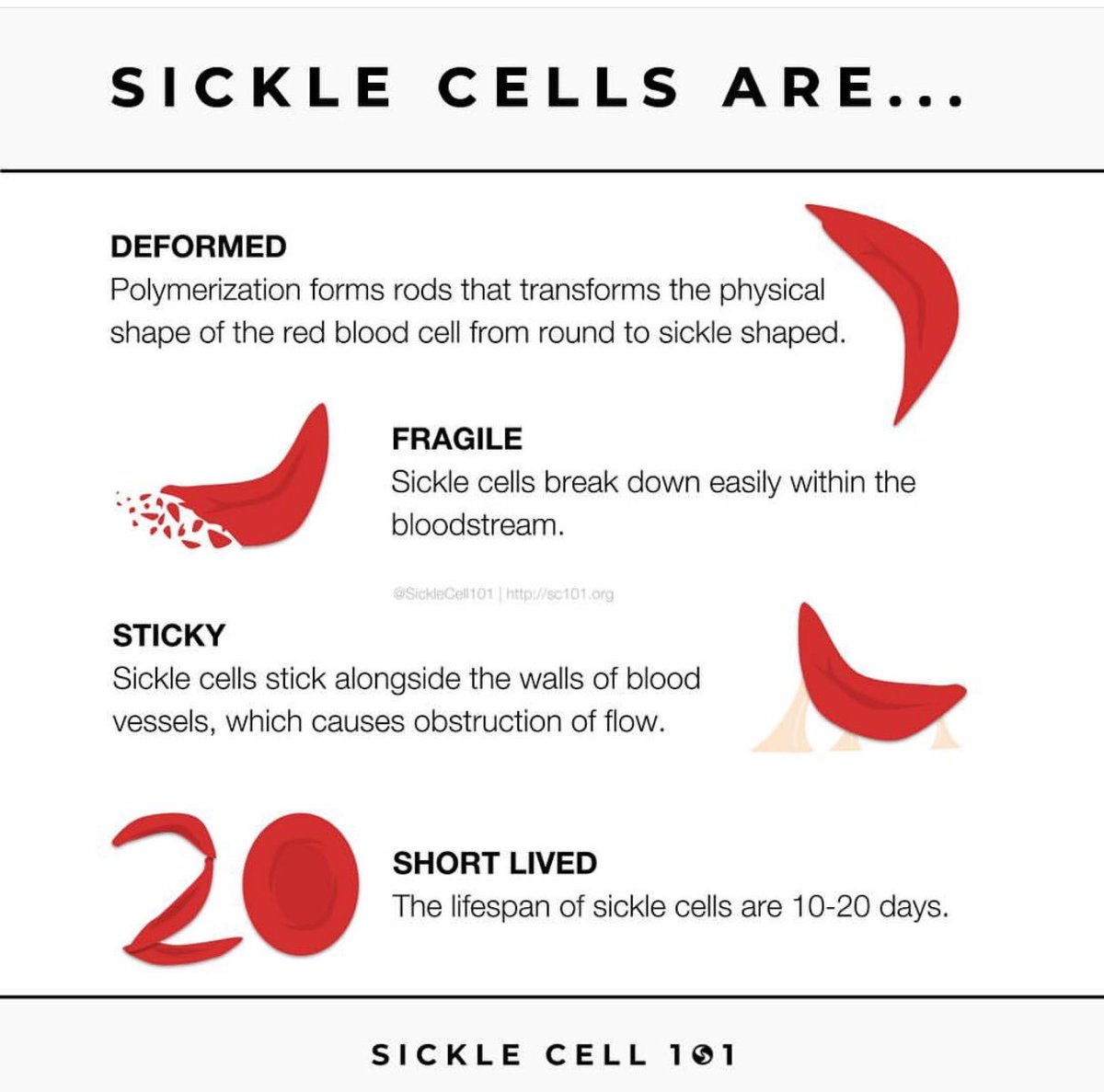 Sickle Cells Are... #SickleCellAwarenessMonth · #SickleCellEducation