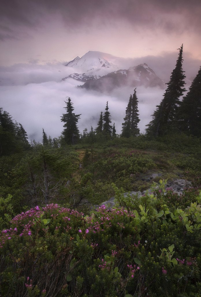 taiga_codex's tweet image. 90377:

   Hide &amp;amp; Seek by Laura Ashburn #nature #landscape #wilderness #earth See more: taiga-codex.com