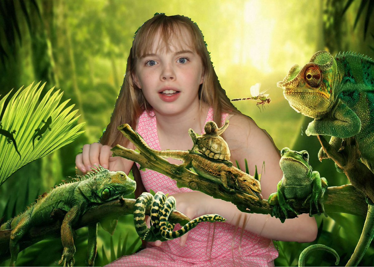 Today marks #worldwildlifeday a day created in the honour of #SteveIrwin to remind us of all the great work he did with animals and in particular endangered species. Now is the time to look after these animals before we loose them forever! 🦎🐯🦍