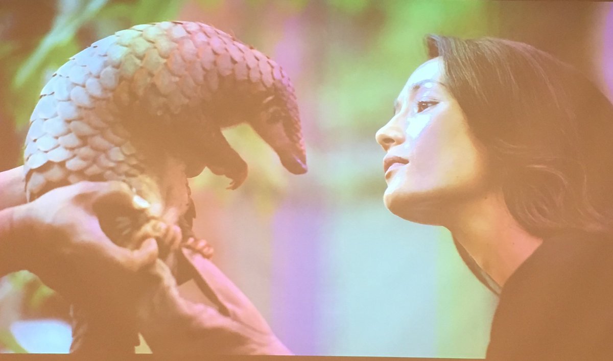 Thank you @WildAidHK and @HKUniversity for hosting this important conference on the critically endangered #pangolin. #whenthebuyingstopsthekillingcantoo