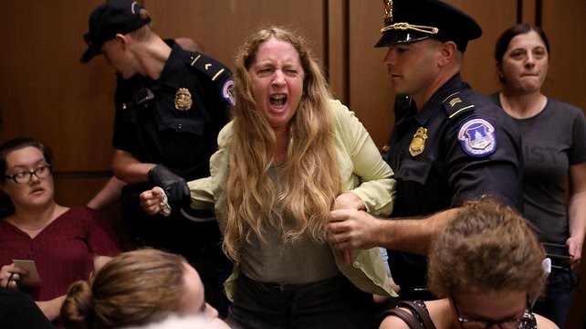 Image result for protesters at kavanaugh hearing