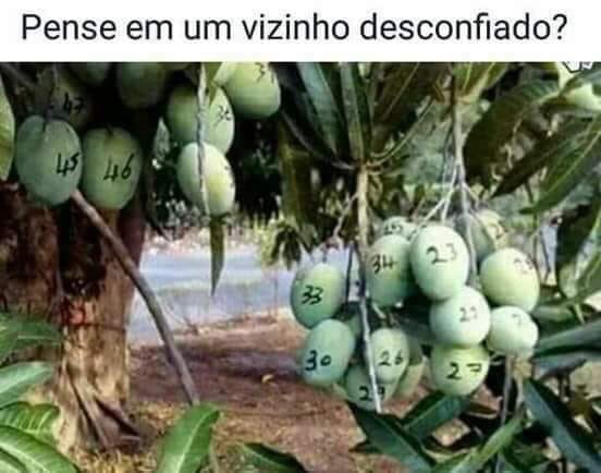Mt19Lucas's tweet photo. -Tipo eu 😹😹😹😹
-tá chegando https://t.co/oWakBGiMUQ
