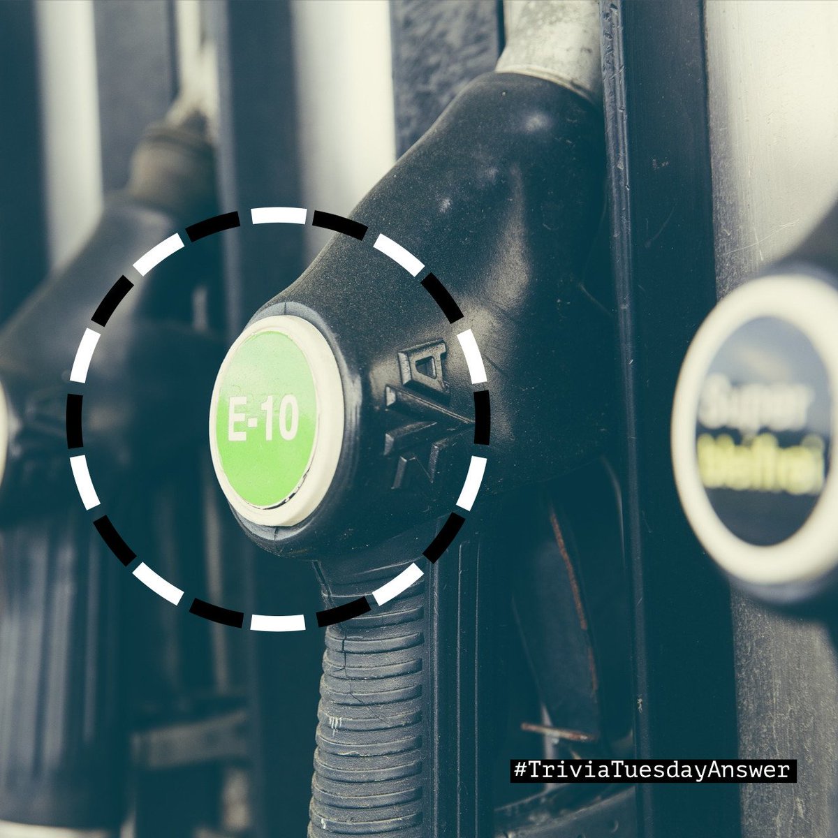 TexasCorn's tweet image. #TriviaTuesdayAnswer Ethanol⛽️ is the cleanest and most affordable source of octane on the market today!🌽