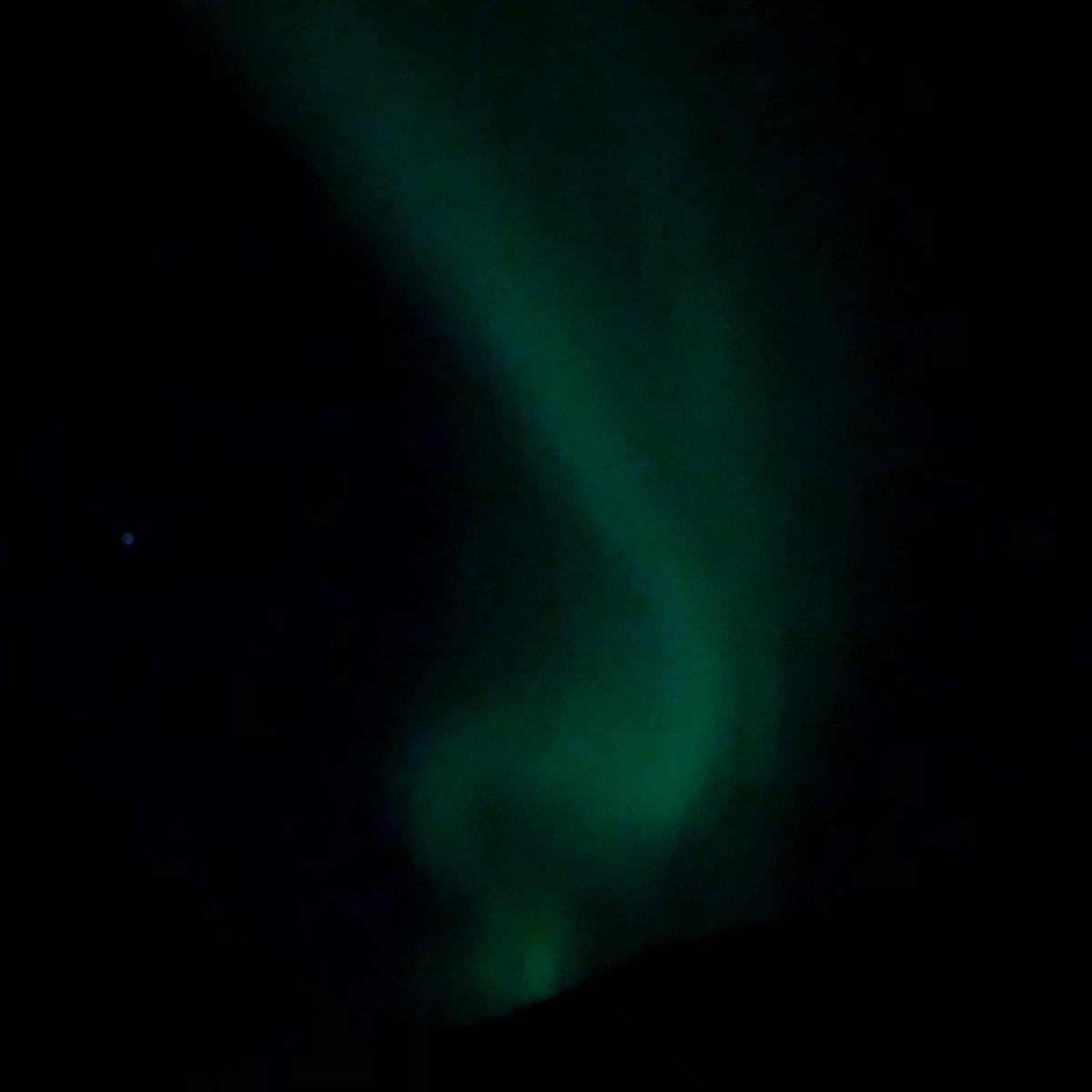 Lotske's tweet image. #northernlights #Auroraborealis #noorderlicht #lofoten #norway