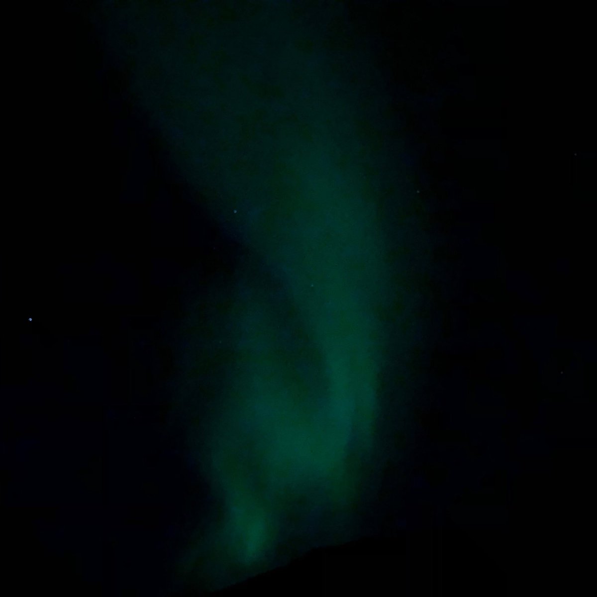 Lotske's tweet image. #northernlights #Auroraborealis #noorderlicht #lofoten #norway