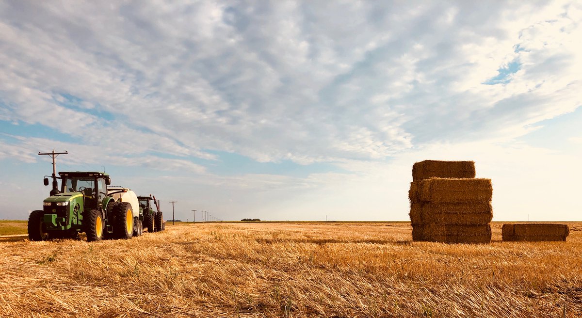 Pacific_Ag's tweet photo. From Kennedy, Minnesota—Our rakes are rolling and fluffing windrows to ensure even dryness and quality. Tomorrow we bale... #cropresidue #sustainablefarming #cowchow #harvest2018 https://t.co/uXSLWW0gC1