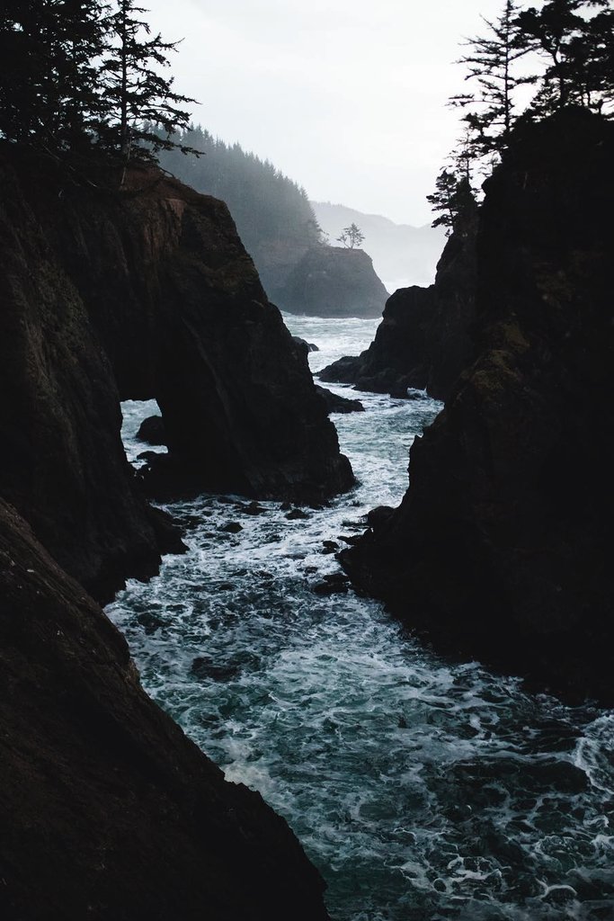 taiga_codex's tweet image. viciousclass:

  The Corridor. #nature #landscape #wilderness #earth See more: taiga-codex.com