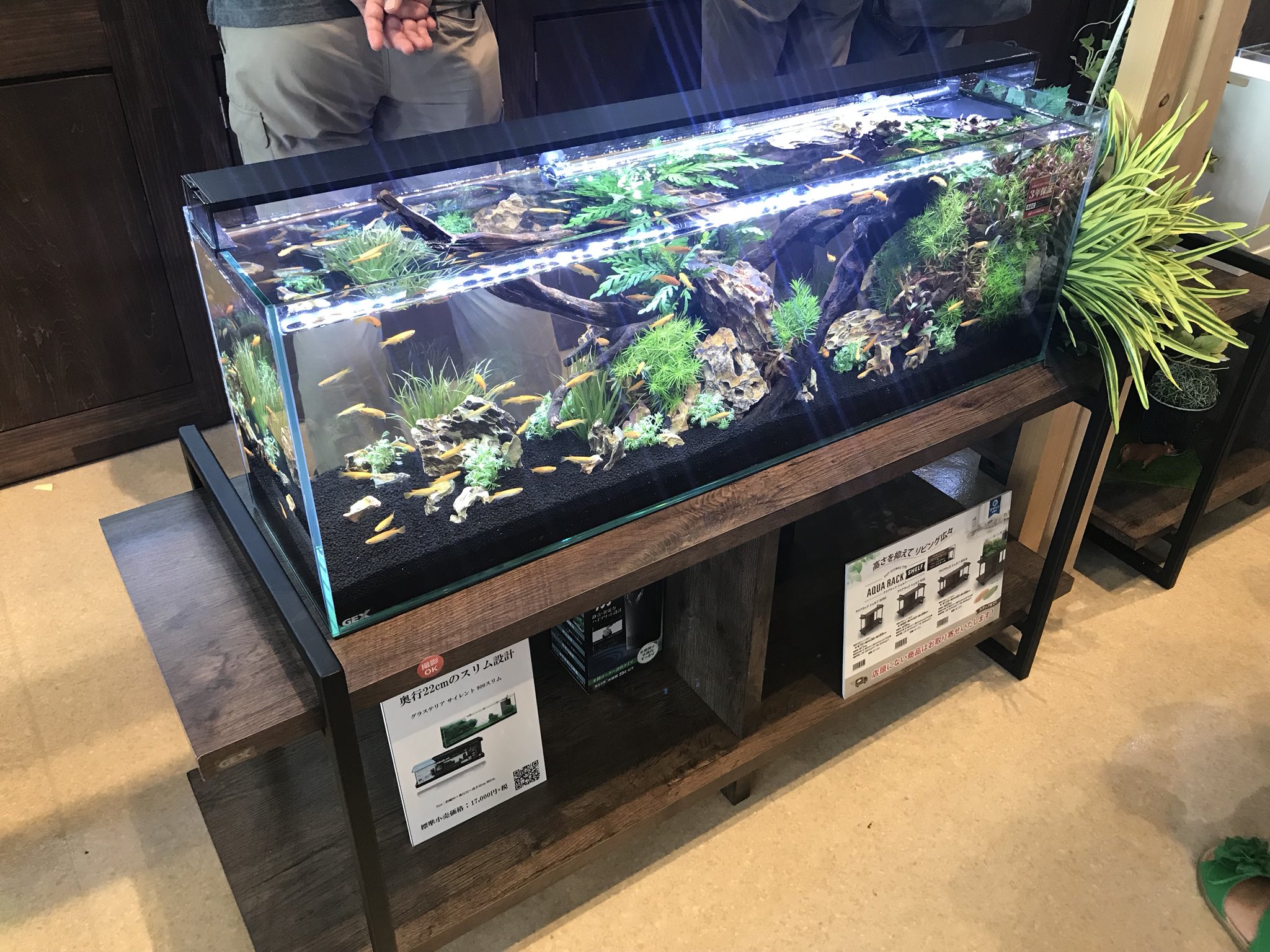 GEX アクアラック シェルフ600 - 魚用品/水草 GEX アクアラック シェルフ600 - 魚用品/水草