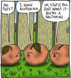 baldgrrl's tweet image. September is #alopeciaawareness month. #baldhumor