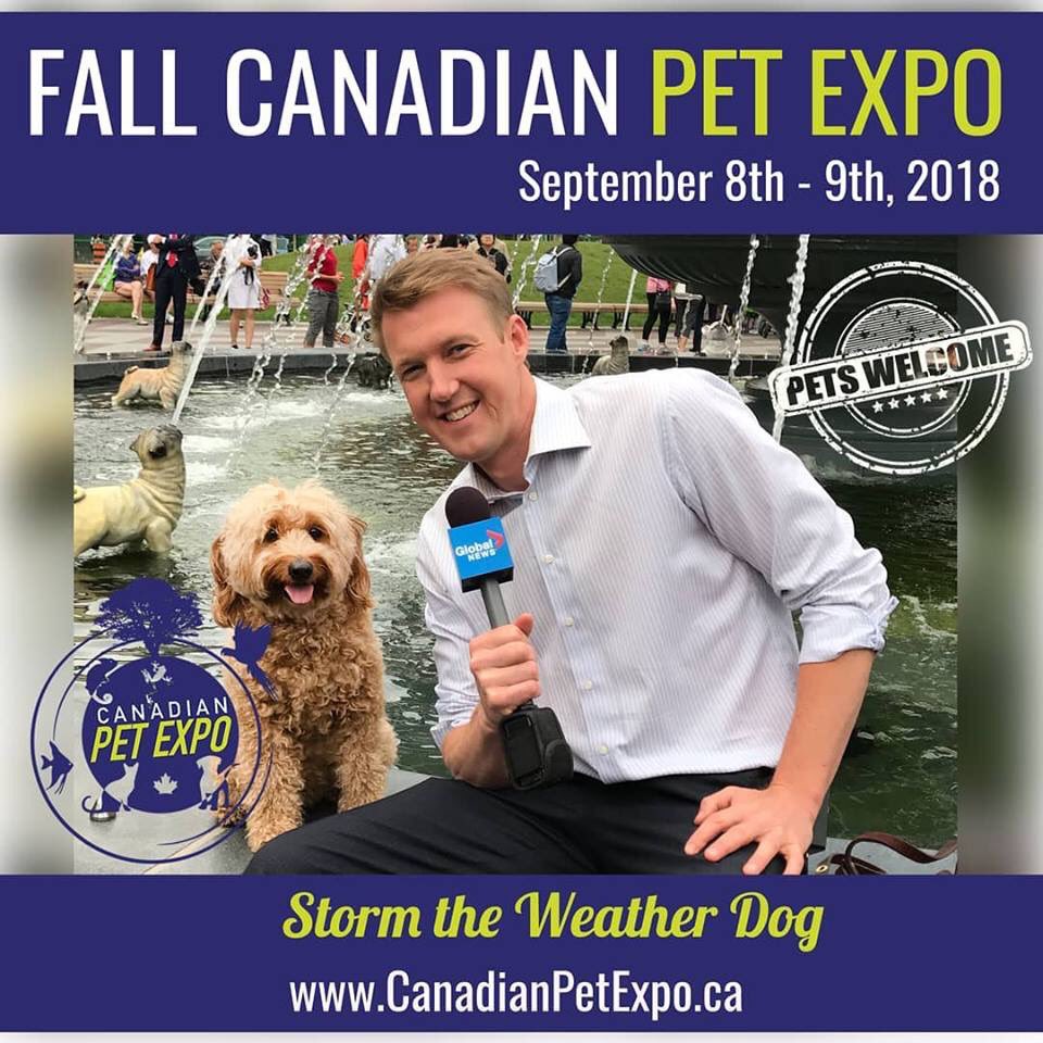 StormtheWeatherDog (StormWeatherDog) Twitter