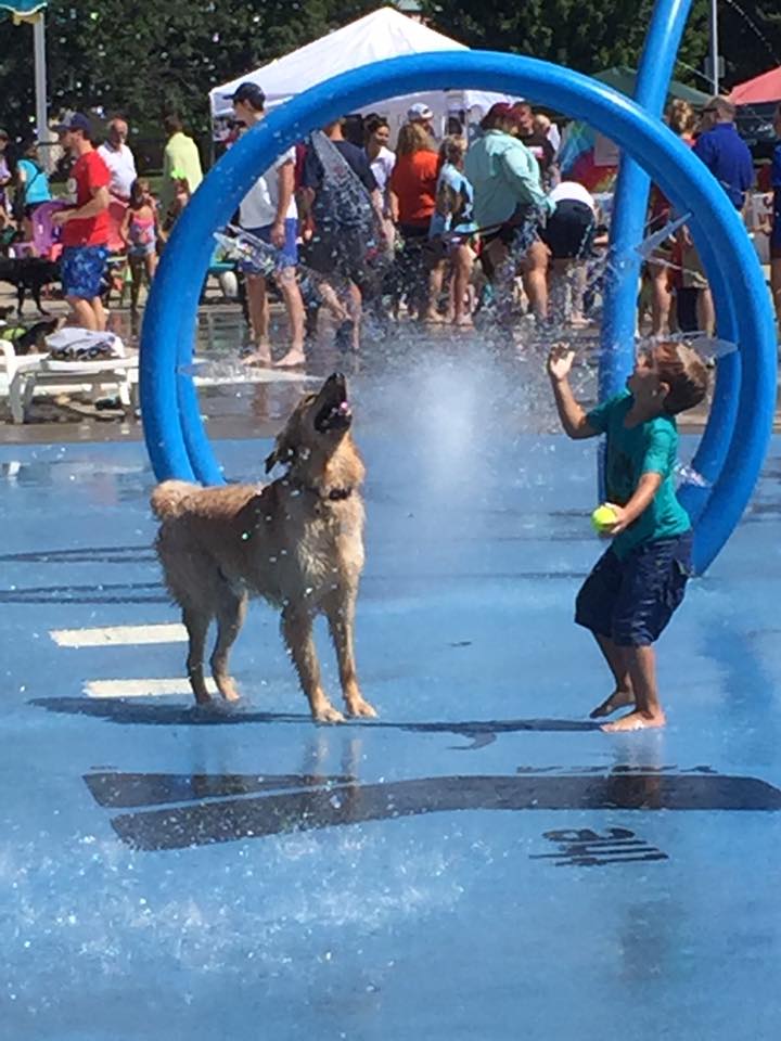 NortheastFamilyYMCA on Twitter "Join us for our 5th Annual Dog Swim