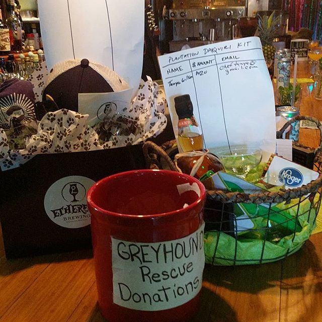 NomsInLex's tweet image. Come out to @greenlanternbarlex @tikijava RIGHT NOW and support the people at @gpalex40502!  @ethereal_brewing is putting items up for raffle, and @buddhaheadmobile is along good soon!  Meet some Greyhounds! ift.tt/2wImGLE