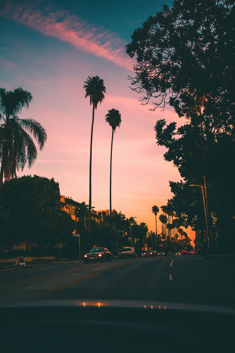 visual_supply's tweet image. Take me to Cali 😍🌴🌺