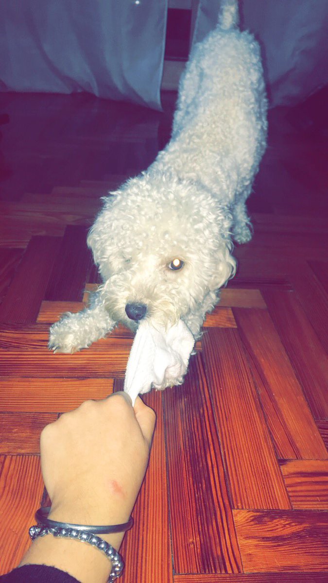 roo_mig's tweet photo. Nunca me faltes 🙏🏻♥️ https://t.co/ONMbegTD5h