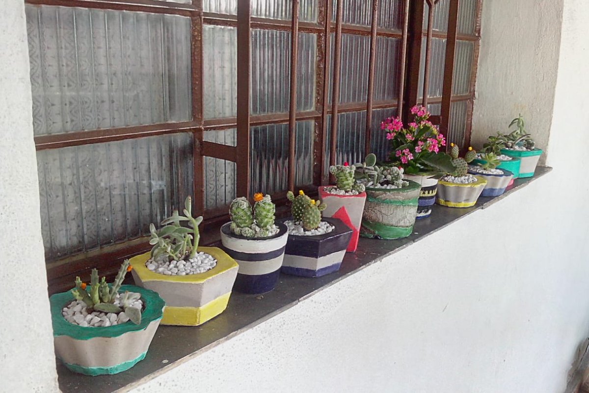 bibizelee's tweet photo. GENTEE , meu tio tá desempregado e está tratando a depressão, ele começou a fazer vasinhos com flores e plantas pra vender pra ajudar na casa, se vcs poderem ajudar ou só dar RT iria ajudar muito, cada um é 15 reais e somos de Belo Horizonte cnt: 31989464344 https://t.co/aWxXhhQWNh