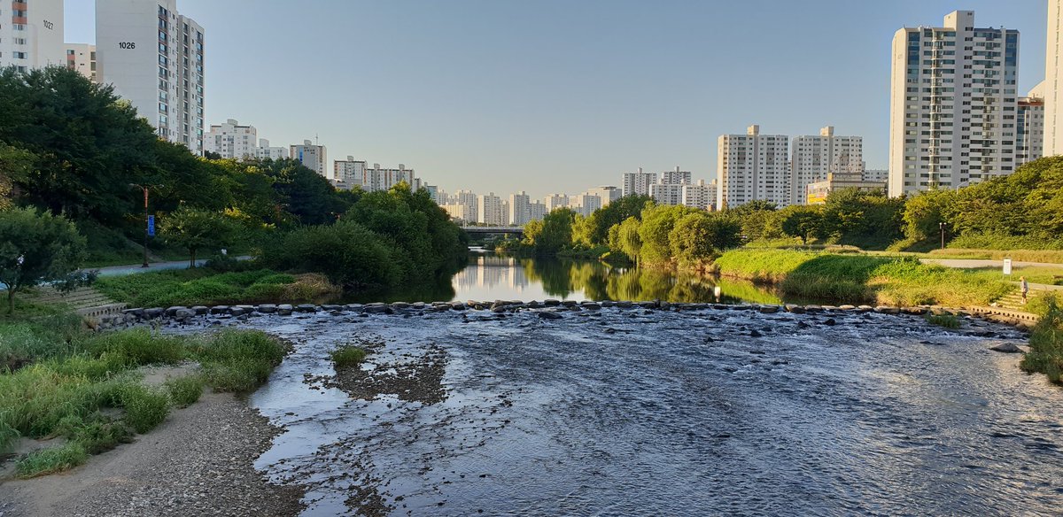 탄천 조기순찰중
자연경관이 살아있는
징검다리와 여울
맑은 물이 흐르는 탄천

#성남시 #탄천 #하천관리과