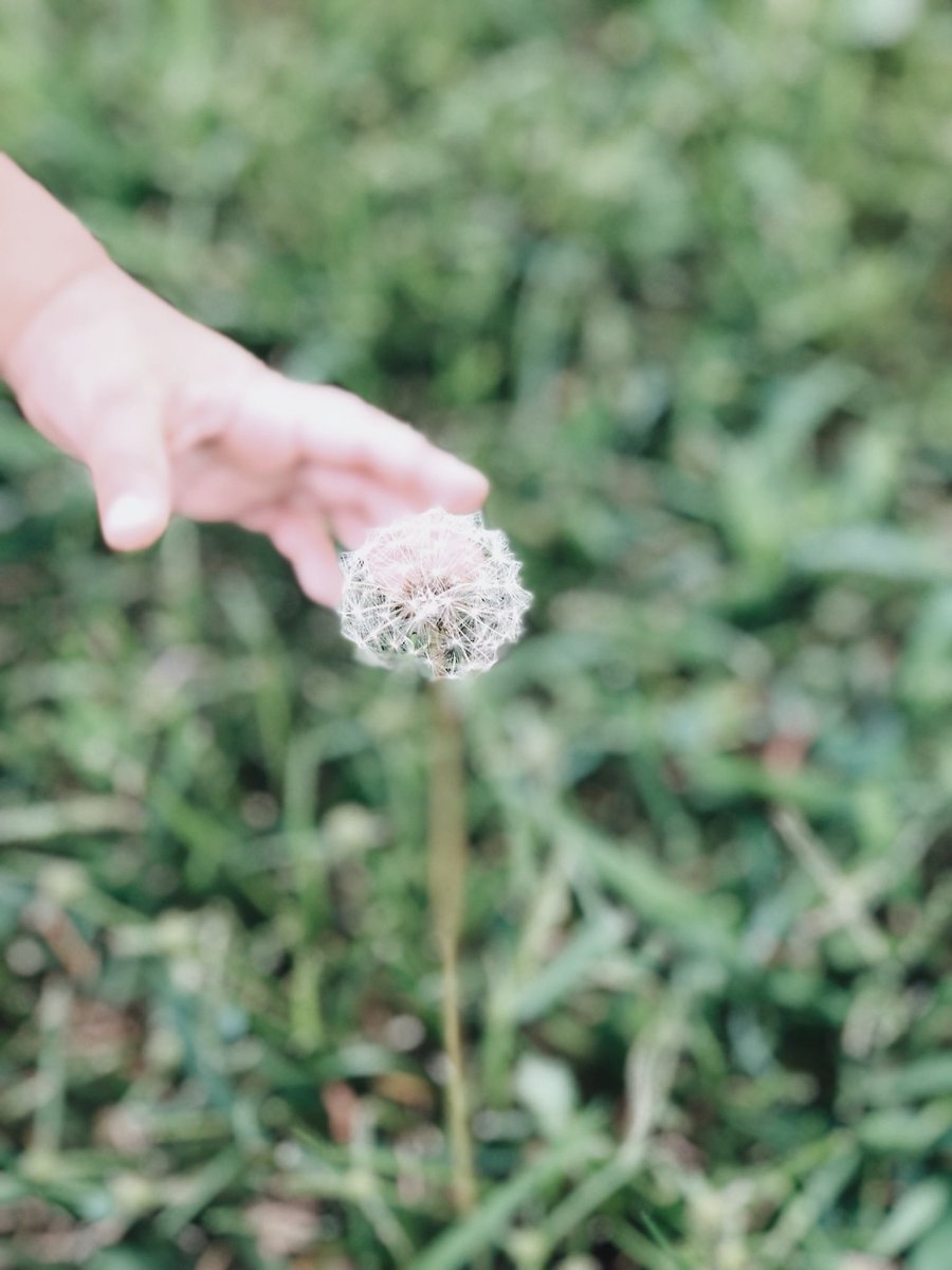 💜 'ฟ้าเซีย' 💫 tweet media