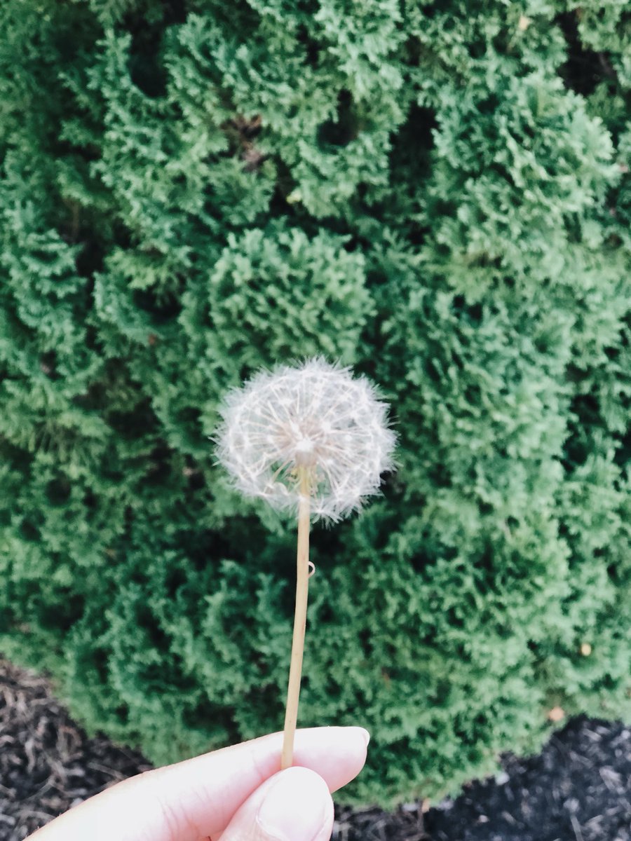 💜 'ฟ้าเซีย' 💫 tweet media