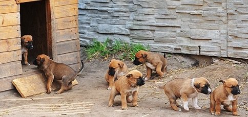 AnimalTweeps's tweet photo. Looks like school's out for the day.  #BackToSchool https://t.co/iLFswoGCO4