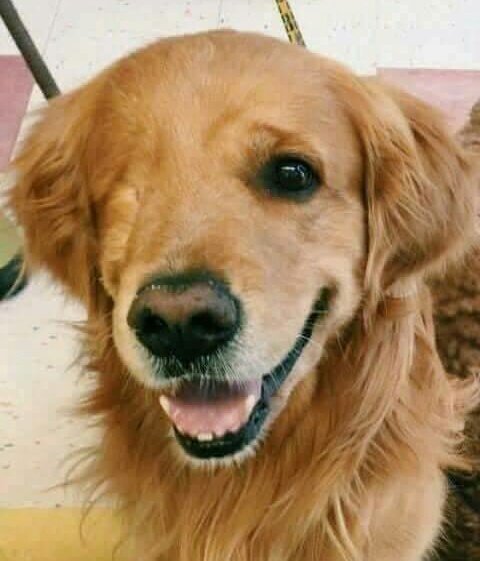 barulhosdomar's tweet photo. https://t.co/MPY2w8Q8FM