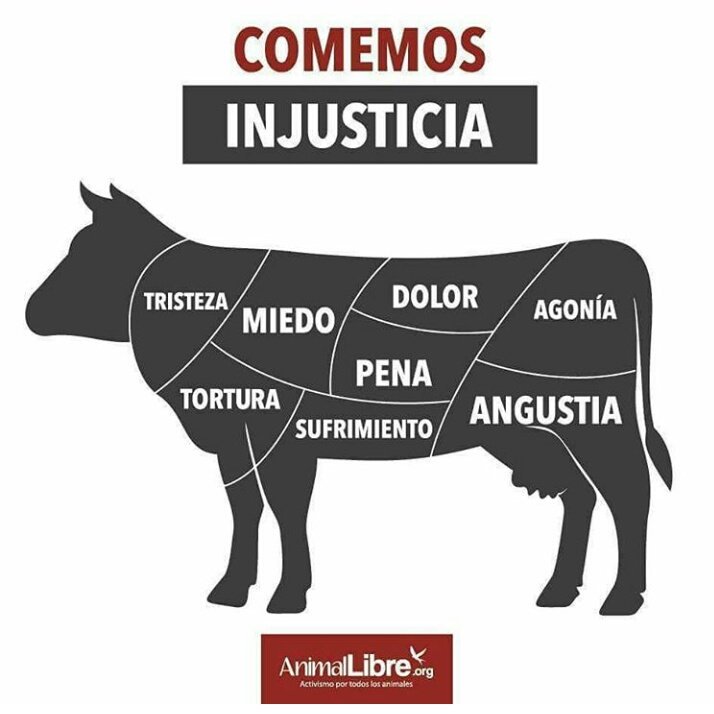 AnimalLibreArg's tweet photo. Cuando nuestras decisiones afectan a otras vidas no podemos considerarlas como personales.

➡ https://t.co/8YJmYKTPmk https://t.co/yzjll3G4vZ