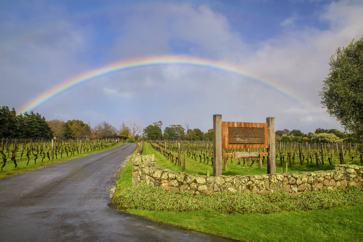 The view this morning.