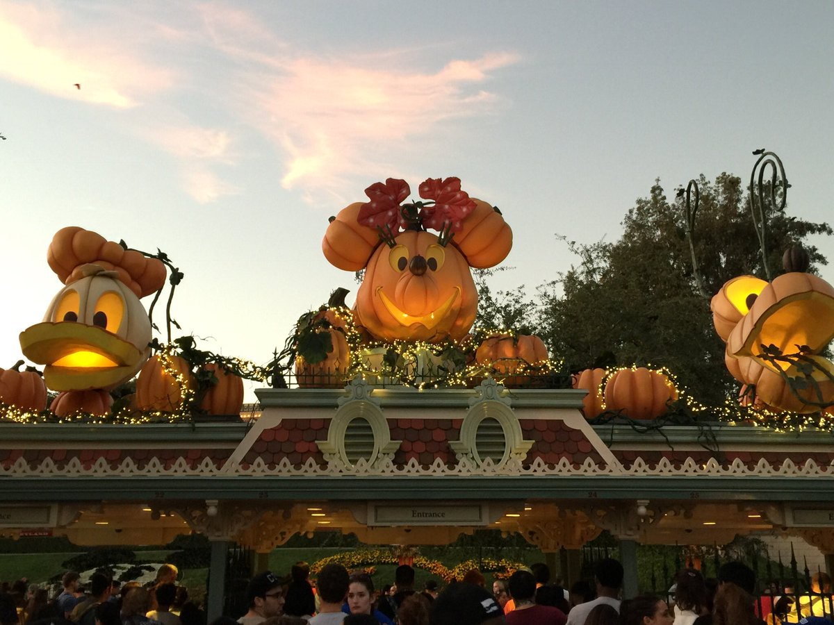 FindTMouse's tweet photo. The Main Street Mickey pumpkin is so beautiful!

Main gate pumpkins coming soon!

FUN FACT: There are hundreds of hand carved pumpkins throughout #Disneyland during Fall and no two are the same! https://t.co/3JzJoeHWMZ