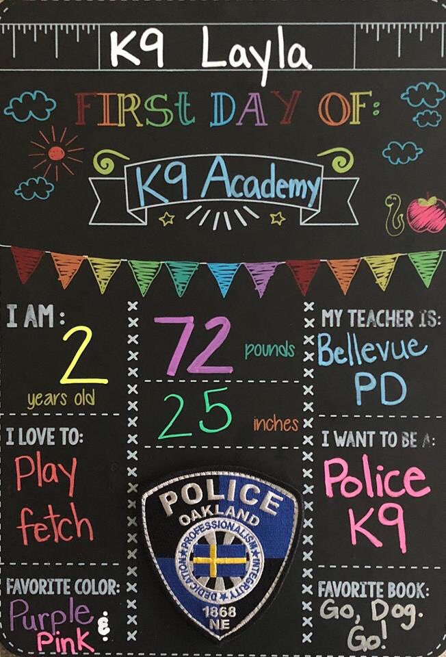 CarolSkaziak's tweet photo. Sorry guys ... THIS is the best 1st day of school picture I have seen yet!!!
#Firstdayofschool2018
Good Luck Throw Away Dogs K9 Layla!
#ThrowAwayDogs
#K9Layla
#Ck9a
#NarcoticDetection
#OaklandPD
#RescueDogToWorkingDog
City of Oakland, NE Police Department https://t.co/NfJY4lUdsf