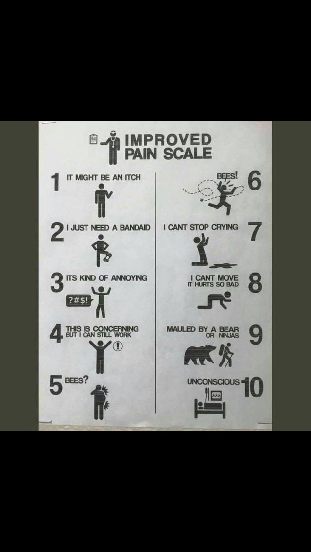 IITSHWC's tweet image. #shwc