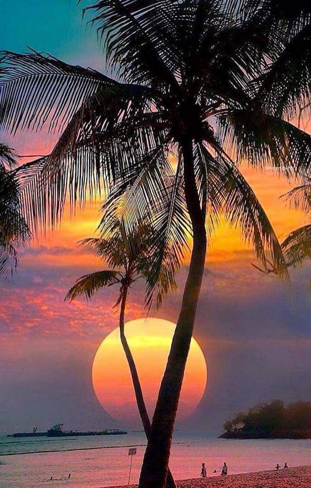 786999k's tweet photo. I Love The Friends to whom I have not seen.For days, weeks, months or even years.And the bond is still Strong as ever.💖💕 🥀🌷🌱🌹 
🥀🌷 Good Night Frinds. 💖🥀🌷🌱 https://t.co/NvgybkGGxj