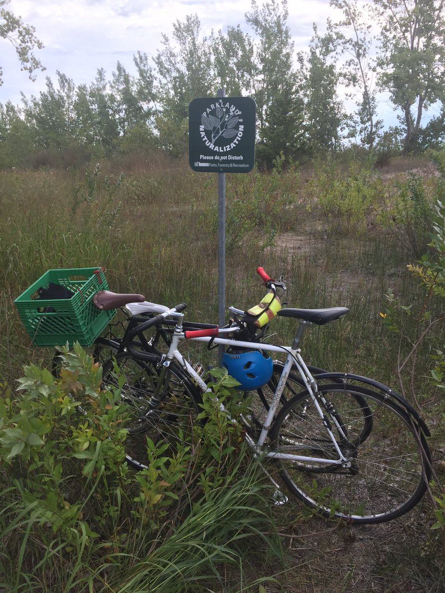 This is one example of why Toronto cyclists are hated on. #Toronto #cyclists #preservationarea #noparking #donotdisturb #notabikerack Solution: (1) more bike racks on the island. (2) People give a shit.