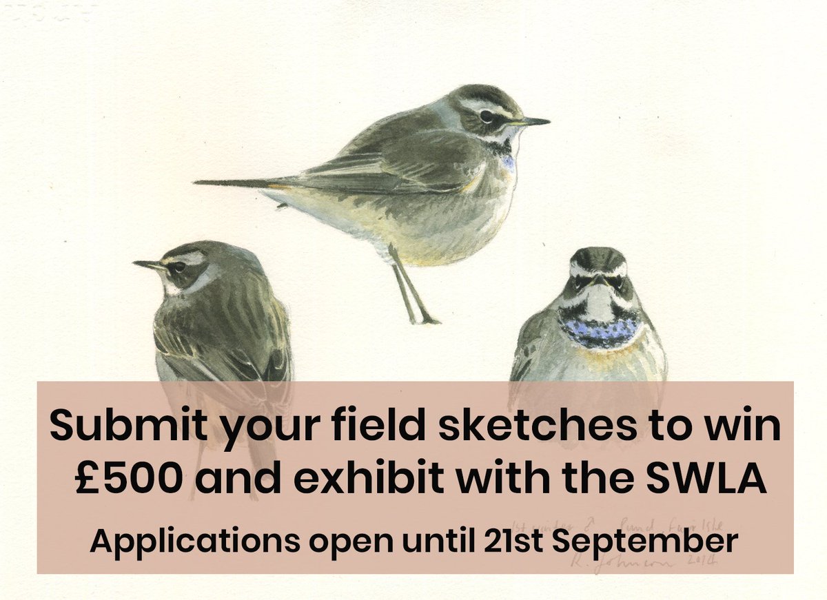 If you're inspired by the natural world &amp; draw/paint from life in the field, send us images of your field sketches and you could win a £500 #artprize &amp; be exhibited at The Natural Eye Exhibition at Mall Galleries. You have until September 21st to apply: ow.ly/HjC230lG6mH