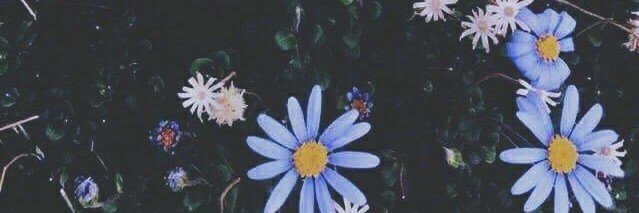 thuglayouts's tweet photo. Lauren Jauregi layout 

RT if you saved please https://t.co/3ZoLIjexEH