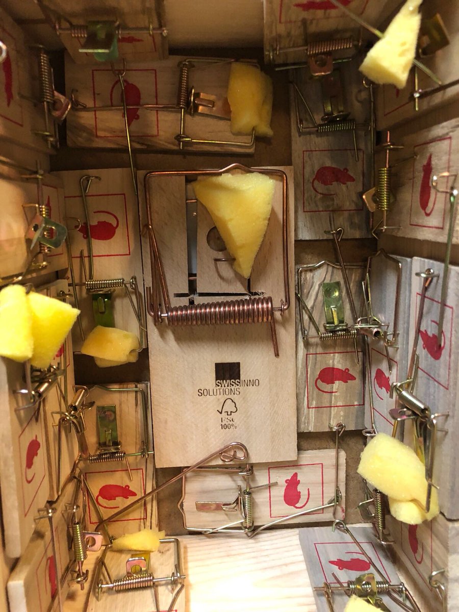 Levensgevaarlijke repetities.. <a href="/STIPproducties/">STIP producties</a> #indekelderstaateenhuis #muisikhebje