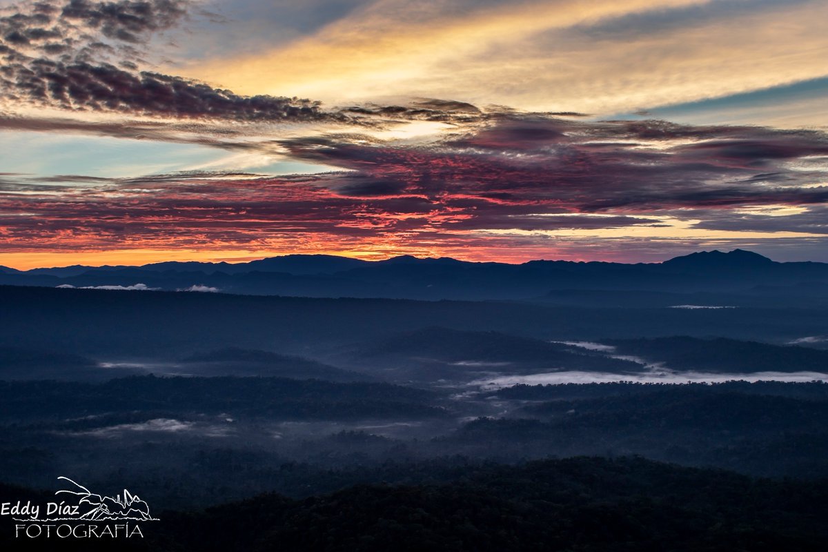 Son momentos... #viaje #foto #fotografiadepaisaje #canon #landscape  #travel #trekking #rainforest #PintoFotografia