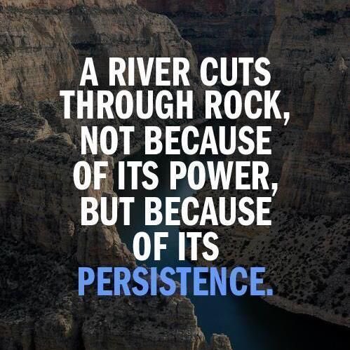 Vat_of_useless's tweet image. #persistenceispower