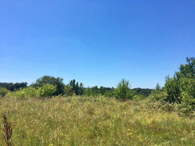 Nouveau: A vendre - Terrain - Marmande (47200) - 70 855m²: pvt.fm/p/14A6FC92C09A