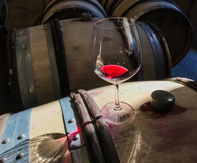 Oak Restaurant (@oakdallas) on Twitter photo Our September #WineDinner features wines from the Pisoni Vineyard. We are delighted to welcome <a href="/pisonivineyards/">Pisoni Family</a> to Oak on Thursday, September 27. Enjoy five courses and four wines throughout the night. Call us to reserve your spot (214) 712-9700⠀… ift.tt/2wKFlXf Our September #WineDinner features wines from the Pisoni Vineyard. We are delighted to welcome <a href="/pisonivineyards/">Pisoni Family</a> to Oak on Thursday, September 27. Enjoy five courses and four wines throughout the night. Call us to reserve your spot (214) 712-9700⠀… ift.tt/2wKFlXf