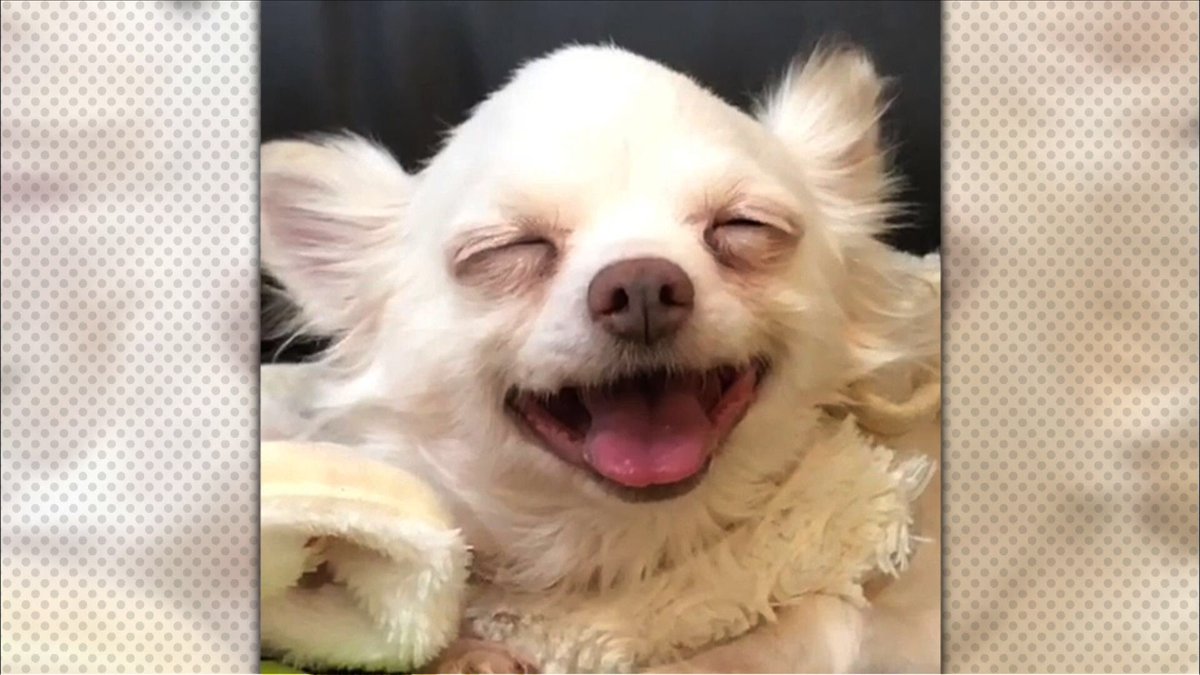 生き物にサンキュー Ikimono 39 Tbs Twitter