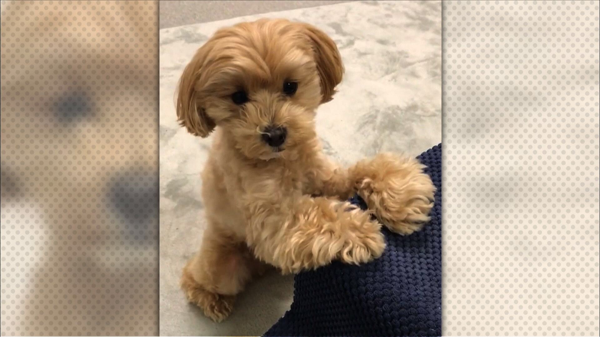 生き物にサンキュー Ikimono 39 Tbs Twitter