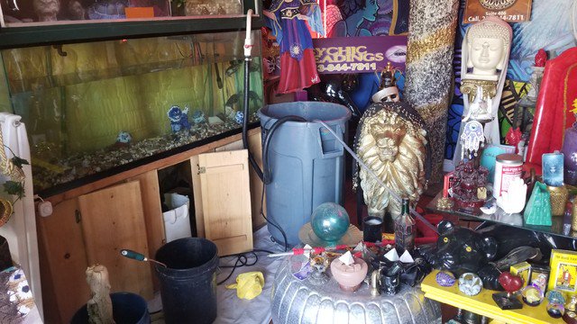 ReefPlayground tweet picture